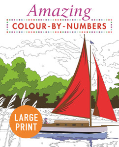 Amazing Colour-By-Numbers Large Print Amazing Colour-By-Numbers Large Print