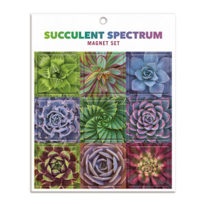 Succulent Spectrum Magnet Set Succulent Spectrum Magnet Set