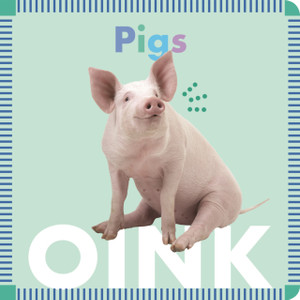 Pigs Oink Pigs Oink