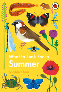 What To Look For In Summer What To Look For In Summer