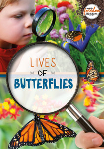 Lives Of Butterflies Lives Of Butterflies
