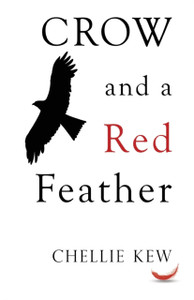 Crow And A Red Feather Crow And A Red Feather