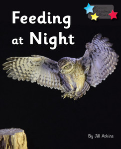 Feeding At Night: Phonics Phase 3 Feeding At Night: Phonics Phase 3