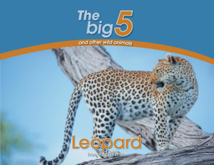 Leopard: The Big 5 And Other Wild Animals