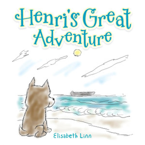 Henri'S Great Adventure Henri'S Great Adventure