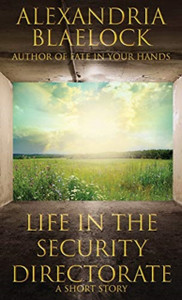 Life In The Security Directorate: A Short Story