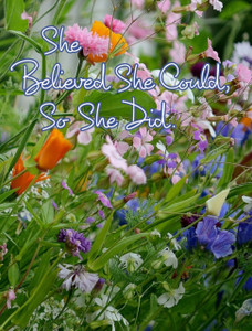 She Believed She Could, So She Did - 9780464317852 She Believed She Could, So She Did - 9780464317852