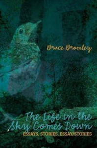 The Life In The Sky Comes Down The Life In The Sky Comes Down