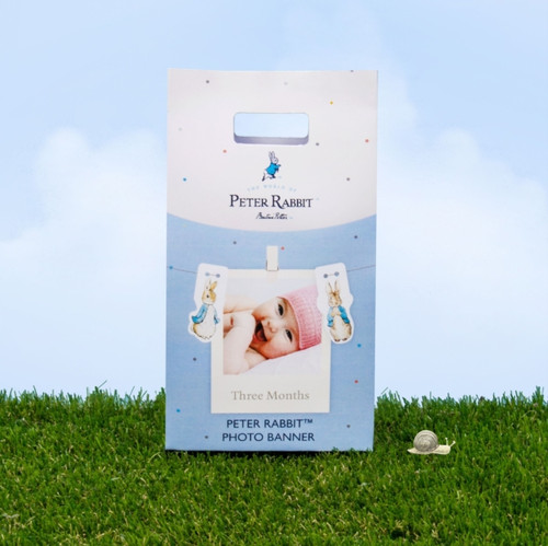 Peter Rabbit Photo Banner