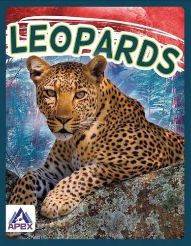 Wild Cats: Leopards - 9781637380673