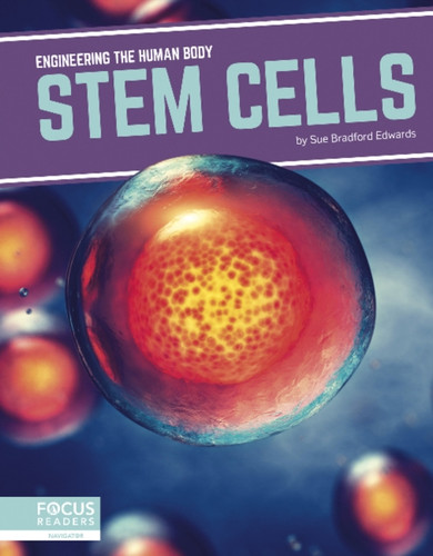 Engineering The Human Body: Stem Cells - 9781641858373