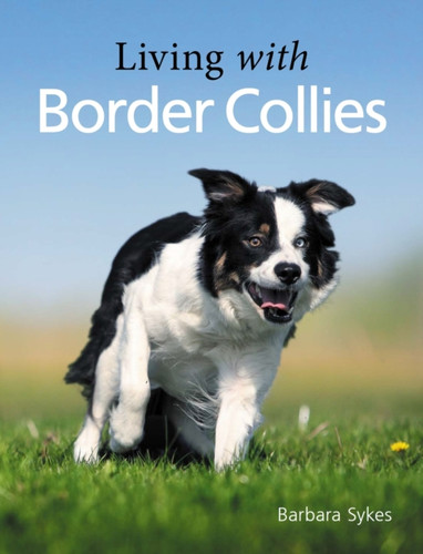 Living With Border Collies Living With Border Collies