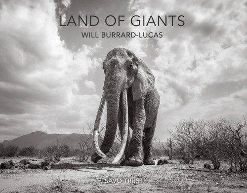 Land Of Giants