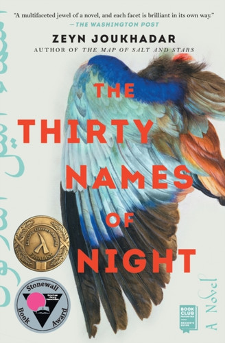 Thirty Names of Night: A Novel