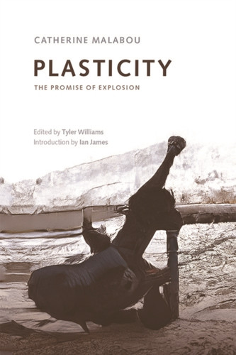 Plasticity: The Promise Of Explosion