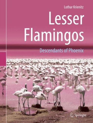 Lesser Flamingos: Descendants of Phoenix