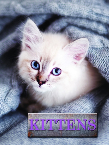 Kittens - 9781422243169