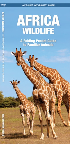 African Wildlife: A Folding Pocket Guide to Familiar Species