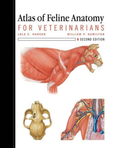 Atlas of Feline Anatomy: For Veterinarians