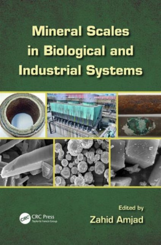 Mineral Scales in Biological and Industrial Systems
