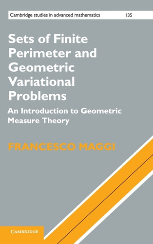 Sets of Finite Perimeter and Geometric Variational Problems: An Introduction to Geometric Measure Theory