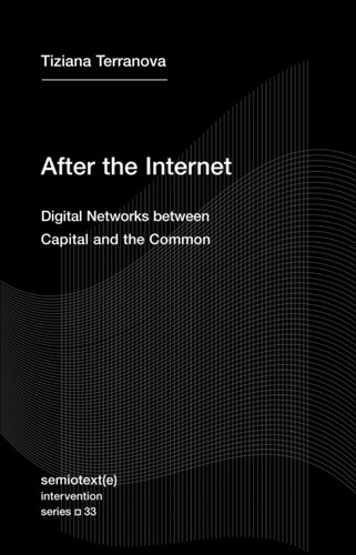 After the Internet: Digital Networks between the Capital and the Common