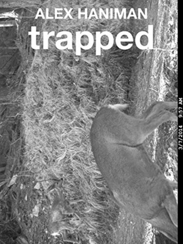Alex Hanimann : Trapped