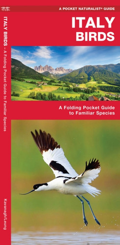 Italy Birds : A Folding Pocket Guide to Familiar Species