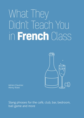 What They Didn't Teach You In French Class : Slang Phrases for the Cafe, Club, Bar, Bedroom, Ball Game and More