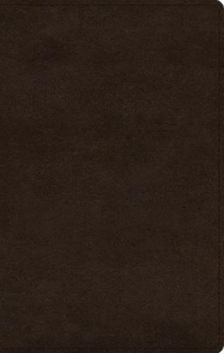 In the Lord I Take Refuge : 150 Daily Devotions through the Psalms