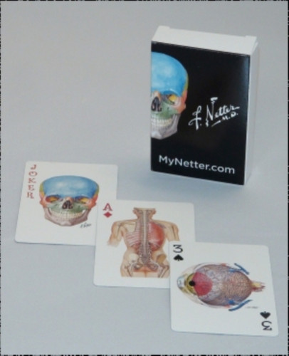 Netter Playing Cards: Netter's Anatomy Art Card Deck (Single Pack)
