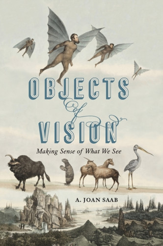 Objects of Vision : Making Sense of What We See