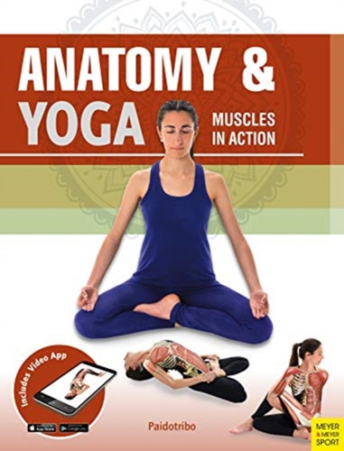 Anatomy & Yoga : Muscles in Action