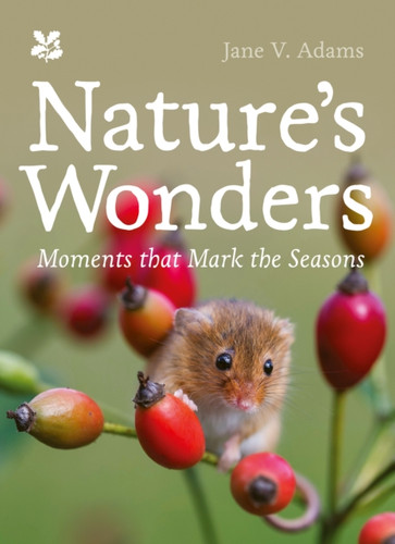 Nature’s Wonders: Moments That Mark the Seasons