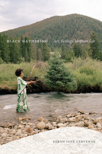 Black Gathering : Art, Ecology, Ungiven Life