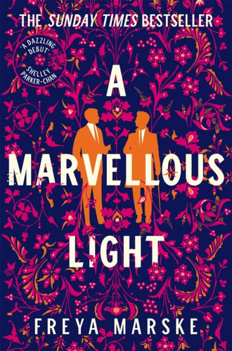 A Marvellous Light: A dazzling, queer romantic fantasy