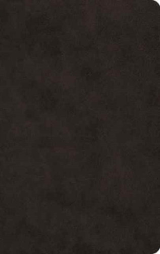 ESV Large Print Value Thinline Bible