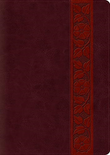 ESV Study Bible, Large Print, Thumb Indexed