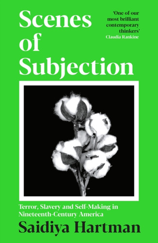 Scenes of Subjection: Terror, Slavery and Self-Making in Nineteenth Century America
