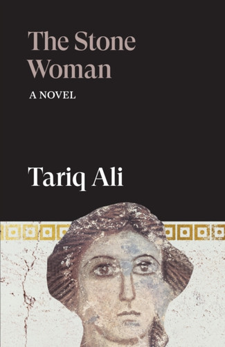 The Stone Woman: A Novel