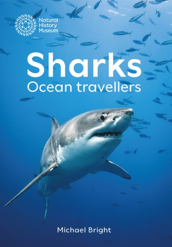 Sharks: Ocean Travellers
