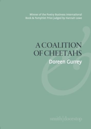 A Coalition of Cheetahs