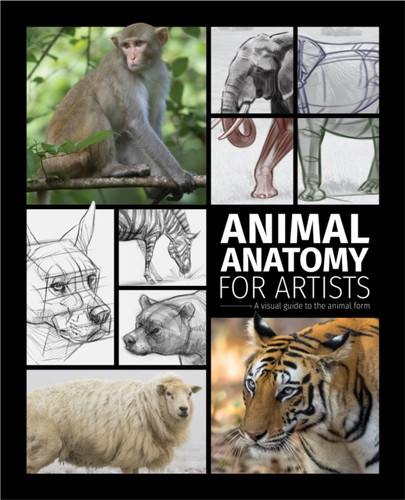 Animal Anatomy for Artists: A visual guide to the animal form