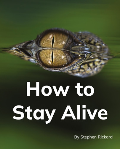 How to Stay Alive: Phonics Phase 5