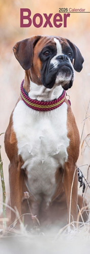 Boxer Slim Calendar 2026  Dog Breed Slimline Calendar - 12 Month