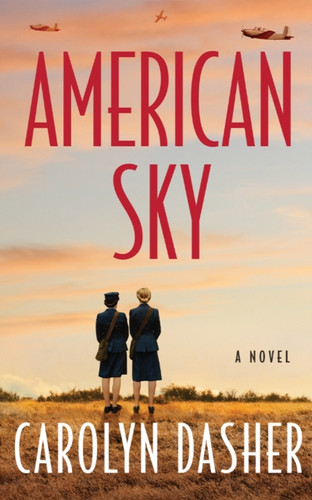 American Sky: A Novel