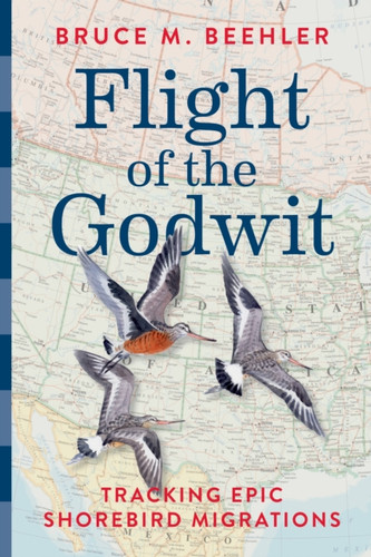 Flight of the Godwit: Tracking Epic Shorebird Migrations