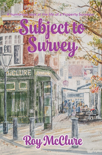 Subject to Survey: The humourous diary of a property surveyor