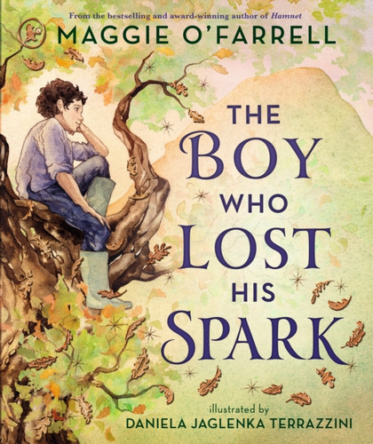 The Boy Who Lost His Spark: An enchanting modern fairytale for children aged 5+ from the award-winning author of Hamnet, now a major film starring Jessie Buckley and Paul Mescal