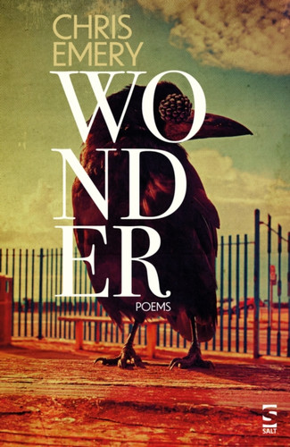 Wonder